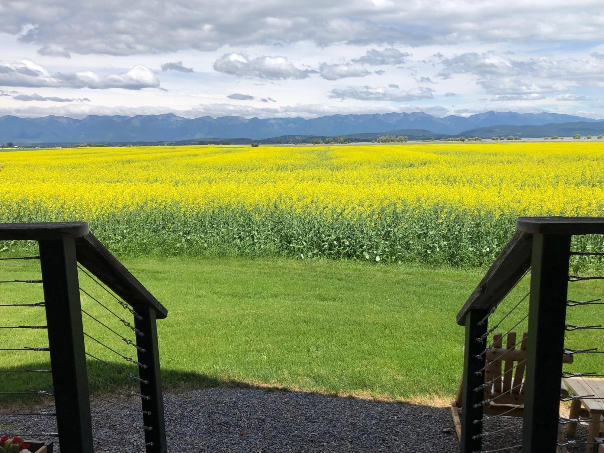 New Cabin With Spectacular Views Of Flathead Lake. Somers Zewnętrze zdjęcie